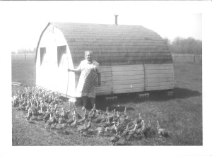"Mamita" (Anna Janusauskis Pakutinskas) with her baby turkeys, Pakey farm, 1950s.